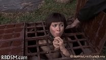 Free sadomasochism vidios