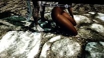 Skyrim perra paga deuda con caravana kajitah