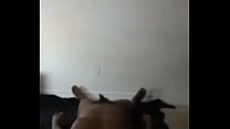 Other porn I confess to orgasming to at least once 1