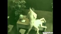 Office whore fucked accross the desk Office whore fucked accross the desk
