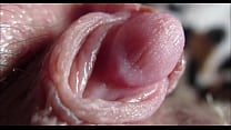 Huge clitoris rubbing and jerking orgasm