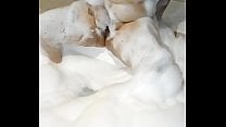 SE ESCUCHA COMO GIME LA MUY PUTA quot ASI ASI PAPI quot M eacute rida Yucat aacute n Mx SE ESCUCHA COMO GIME LA MUY PUTA quot ASI ASI PAPI quot M eacute rida Yucat aacute n Mx