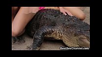 WTF Hot Babes Riding Alligators