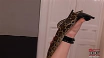 Hot blooded babe playing with snake Hot blooded babe playing with snake