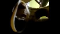 Cojiendo escondidas mientras su marido platica Cojiendo escondidas mientras su marido platica