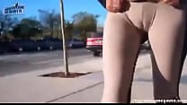 Asses in Public