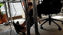 Office shoeplay Office shoeplay