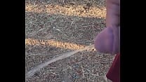 Kaso221   outside piss