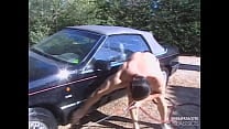 Leave the Car and Fuck my Ass Leave the Car and Fuck my Ass