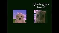 Perros y gatos