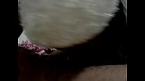 WIfe Swallow Suck Facial part1 WIfe Swallow Suck Facial part1
