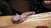 deutsche domina bestraft sklaven mit schmerzvollem CBT und bindet den schwanz ab