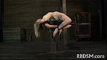Sadomasochism vidios